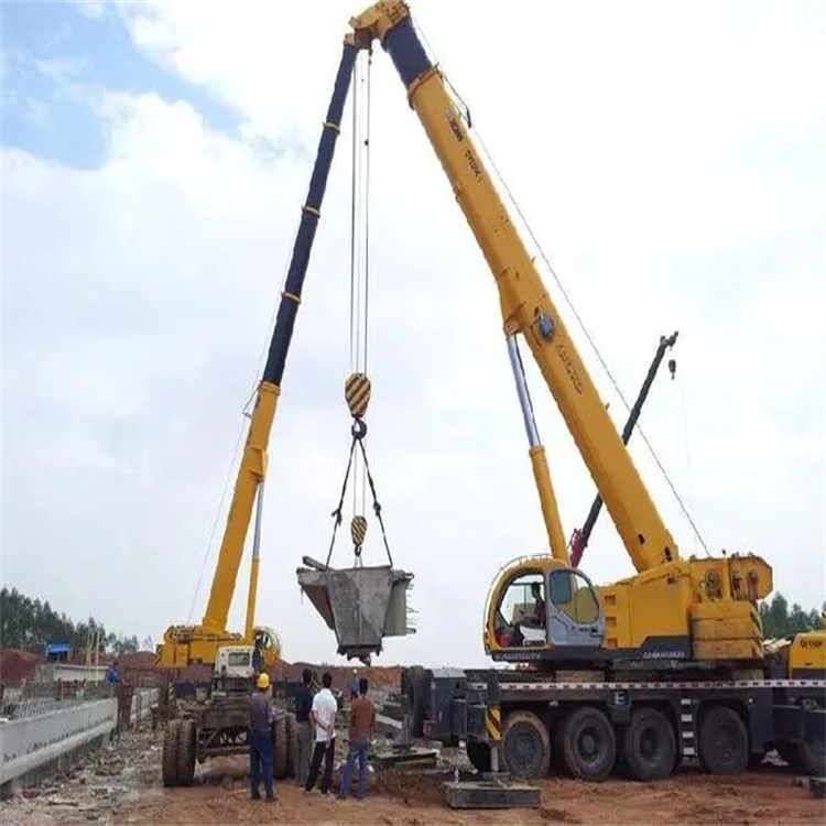 新会小型吊机出租电话|厂房设备吊装方案|24小时服务覆盖